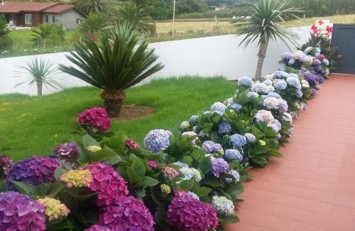 Horta House | Azores, Faial , Horta, Vacation Beach Front Home, First & Second Floor for rent separately