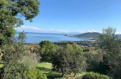 Marine de Davia Apartment | Azulik Corsica