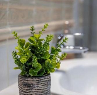 Tabaiba Apartment | Azure Loft Boutique