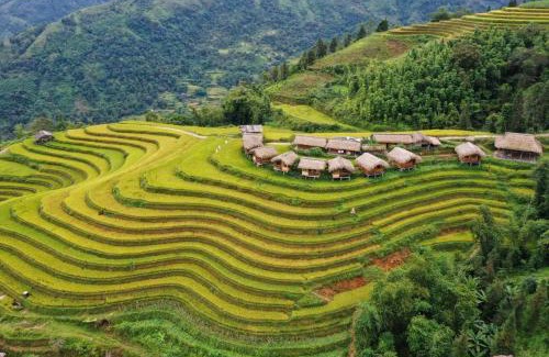 Thong Nguyen Cabin | Bình Minh Homestay