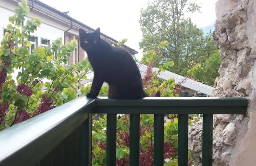 Borgo Valsugana Bed & Breakfast | B&B Al Gatto Nero