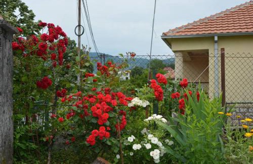 Virpazar Apartment | B&B Ana