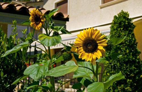 Scanno Bed & Breakfast | B&B Angela