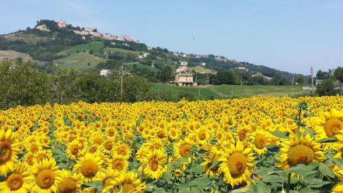 Santa Vittoria in Matenano Bed & Breakfast | B&B Antica Fonte del Latte