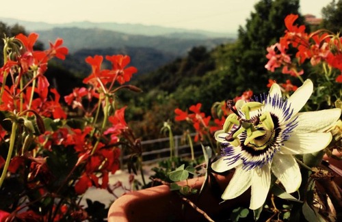Perito Bed & Breakfast | B&B Antonella