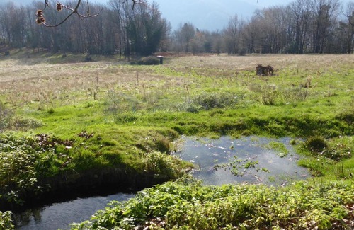 Labastide-Rouairoux Bed & Breakfast | B&B Bouton D'Or La Bouriotte