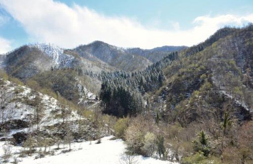 Marradi Bed & Breakfast | B&B Cá Bucolica-Eremo di Trebbana raggiungibile solo a piedi-guarda il sito-chiamaci