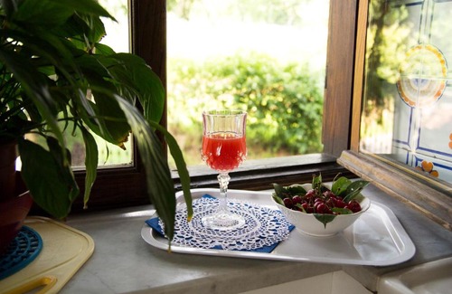 Pinerolo Bed & Breakfast | B&B Casa Carla