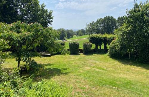 Saint-Julien-aux-Bois Bed & Breakfast | B&B Chateau le Bois