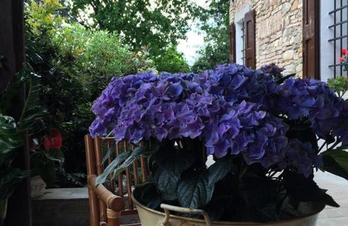 Vignola Bed & Breakfast | B&B civico 7