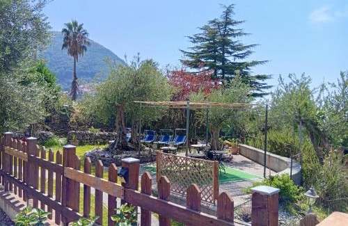 Maratea Bed & Breakfast | B&B da Maria Teresa - Maratea