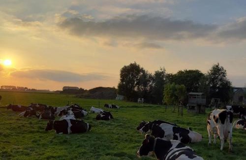 Sint-Jan-in-Eremo Bed & Breakfast | B&B De Hemelse Polder