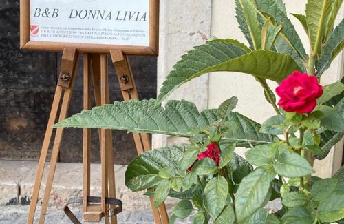Cantalupo nel Sannio Bed & Breakfast | B&B Donna Livia