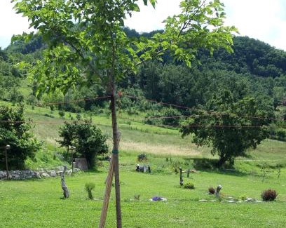 Maiolo Bed & Breakfast | B&B EcoAntico casa in paglia