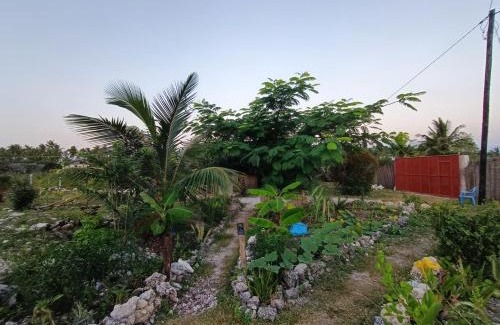 Pingwe House | B&B G&H house Zanzibar
