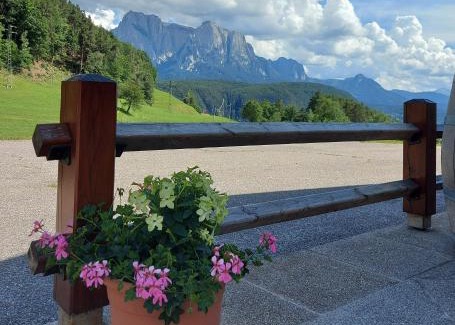 Albions Bed & Breakfast | B&B Gasthaus Lieg