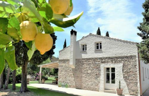 Teulada Bed & Breakfast | B&B Giallo Limone
