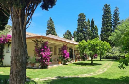 Teulada Bed & Breakfast | B&B Giallo Limone
