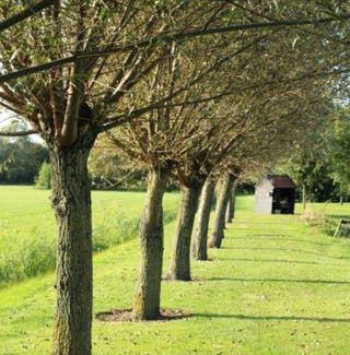 Ruinerwold Bed & Breakfast | B&B het Boerenerf Ruinerwold, Drenthe