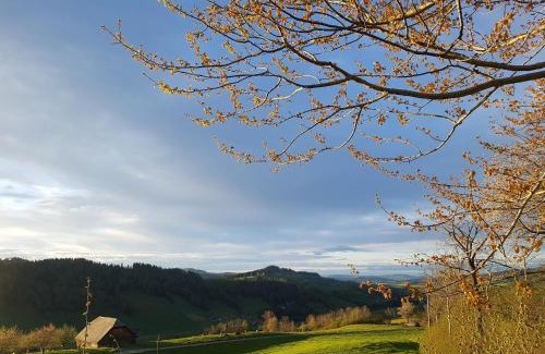 Hasle Bed & Breakfast | B&B Hof Grosschreie