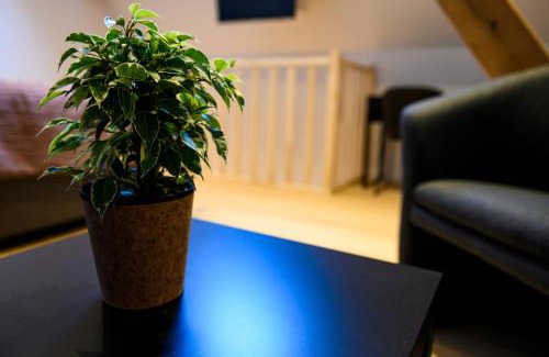 Dworp Bed & Breakfast | B&B Hof ter Kouter