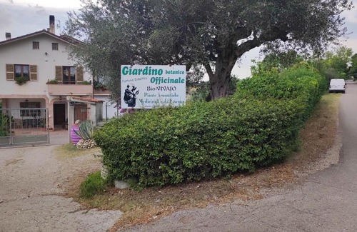 Morro dʼOro Bed & Breakfast | B&B I Tre Ulivi