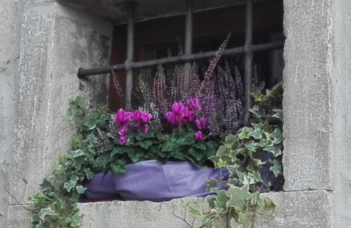 Guardialfiera Bed & Breakfast | B&B Il Belvedere