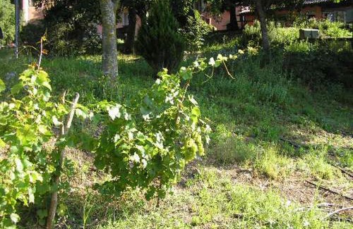 Calestano Bed & Breakfast | B&B IL BOSCHETTO