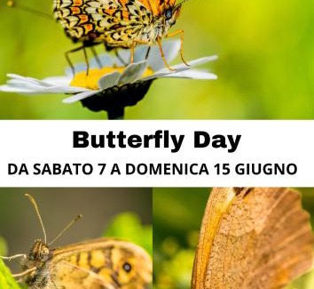 Molare Bed & Breakfast | B&B Il Glicine Molare