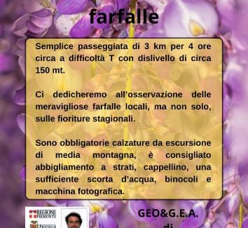 Molare Bed & Breakfast | B&B Il Glicine Molare