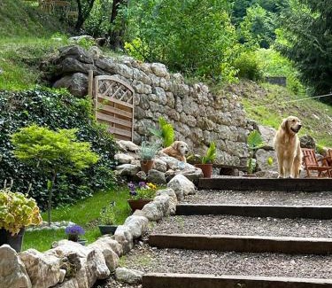 Raossi Bed & Breakfast | B&B Il Mulino alla Busa