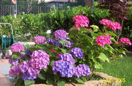 Lubiana Bed & Breakfast | B&B Il Parco