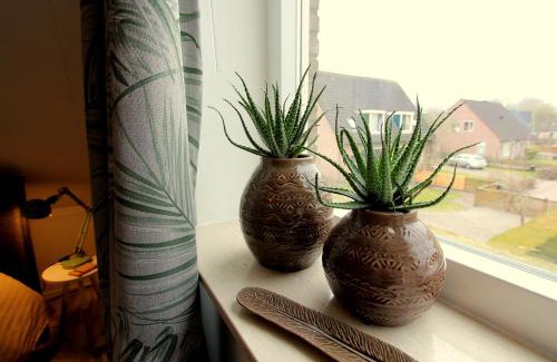 Elsloo Bed & Breakfast | B & B Janneke Elsloo Friesland