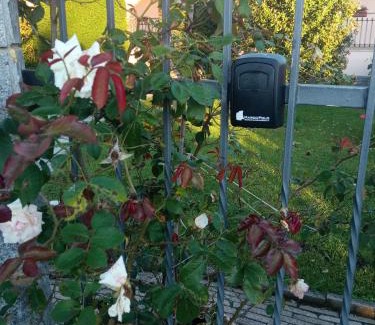 Vignolo Apartment | B&B L'Ortensia