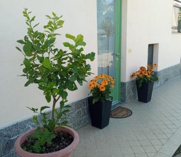 Vignolo Apartment | B&B L'Ortensia