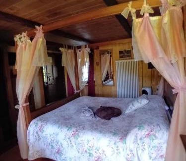 Roccapietra Bed & Breakfast | B&B "La baita delle coccinelle"