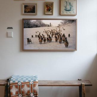 Zaandijk Apartment | B&B La Balena in Zaandijk near Amsterdam
