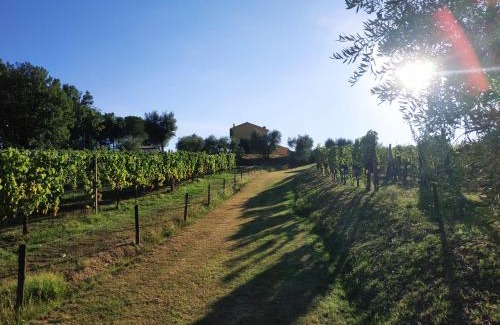 Montecarlo Bed & Breakfast | B&B La Casetta