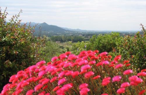 Villedieu Bed & Breakfast | B&B La Cigaline