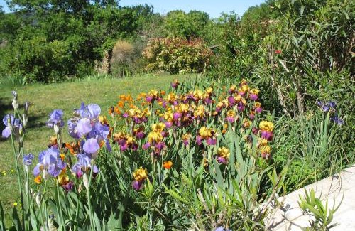 Villedieu Bed & Breakfast | B&B La Cigaline