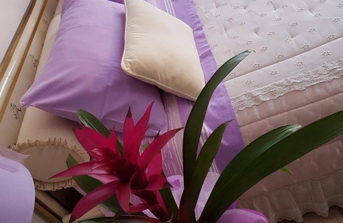 Dalmine Bed & Breakfast | B&B La Delice