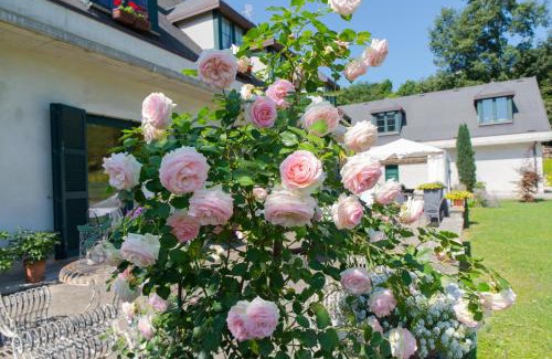 Tornolo Bed & Breakfast | B&B La Provenzale