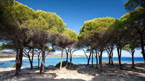 S'Iscala Bed & Breakfast | B&B La Quercia Budoni, Tanaunella