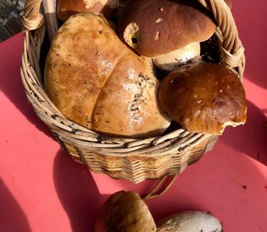 Bourgheim Bed & Breakfast | B&B Le Lodge