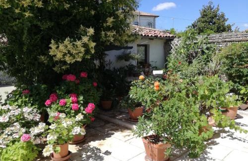 Castagnole Bed & Breakfast | B&B LE ORTENSIE