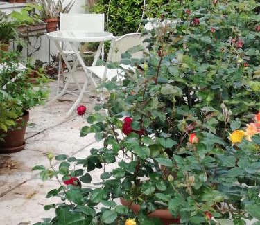Castagnole Bed & Breakfast | B&B LE ORTENSIE