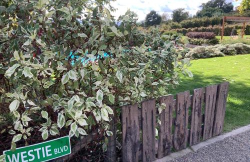 Alessandria Bed & Breakfast | B&B Le Piote