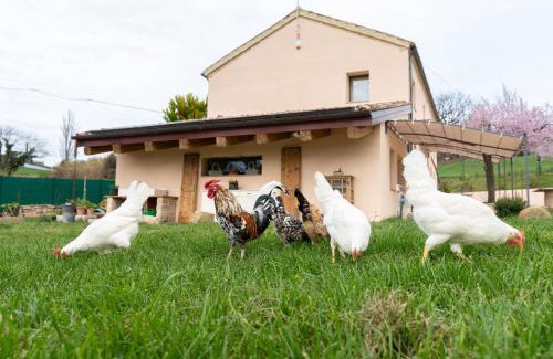 Ostra Bed & Breakfast | B&B Le Rondini Ostra Senigallia Ancona