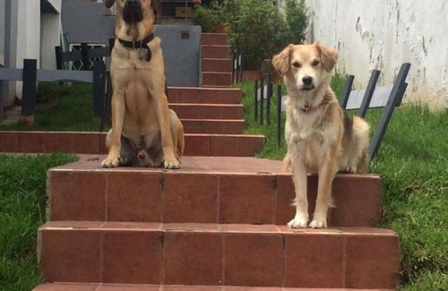 Las Tolas House | B & B Los Mastodontes