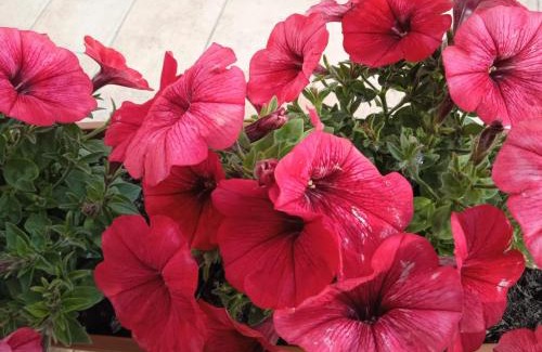 Bussi sul Tirino Bed & Breakfast | B&B LUCE
